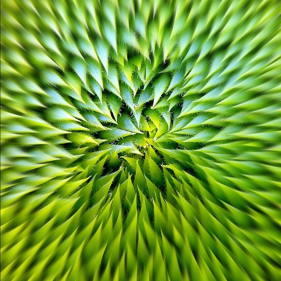 Meet your Posher, Tim - Picture 1 of 1